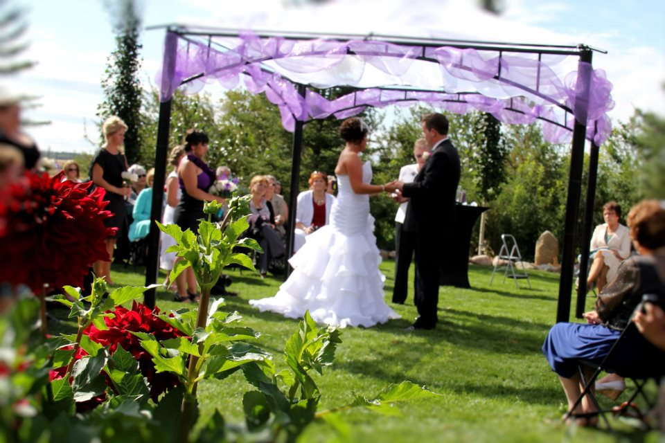 Marriage Commissioner Wedding in Alberta Red Deer Alberta Weddings Officiant Barb Fenske
